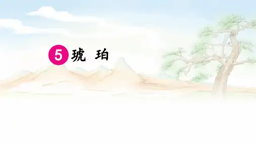 5琥珀 课件(共23张PPT)