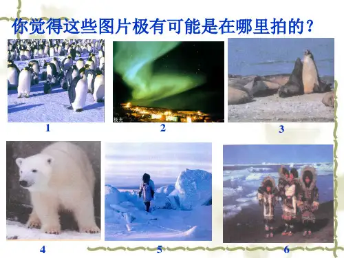 人教版七下第十章+极地地区(共57张PPT)