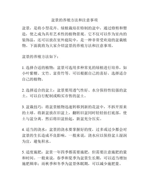 盆景的养殖方法和注意事项