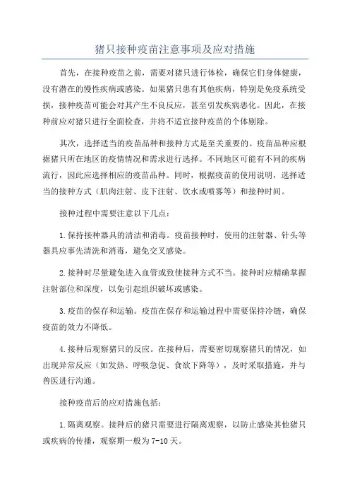猪只接种疫苗注意事项及应对措施