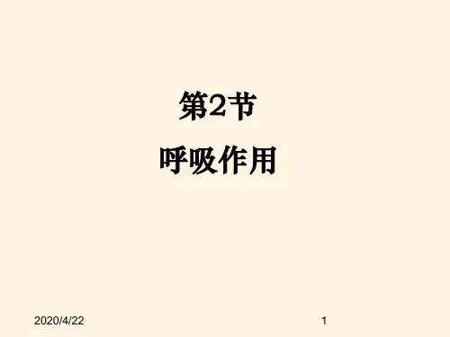 最新北师版七年级上册生物精品课件第2节 呼吸作用参考课件(2)
