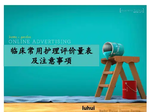 临床护理评价量表及应用 ppt课件