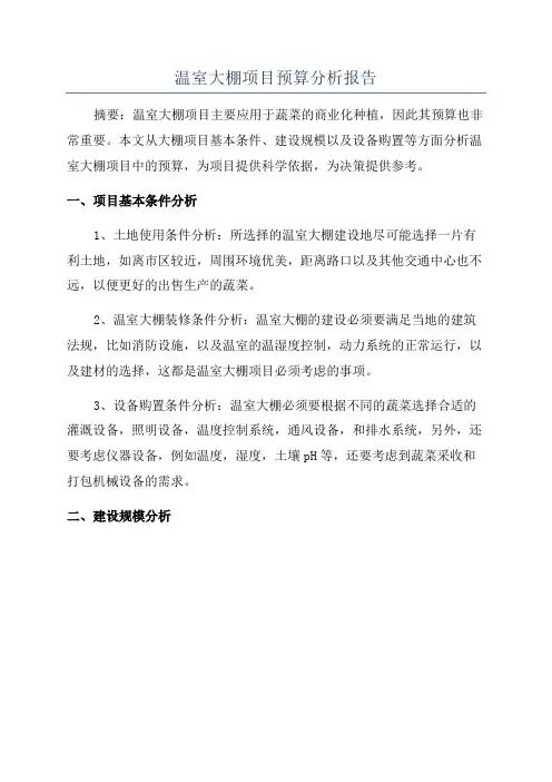 温室大棚项目预算分析报告
