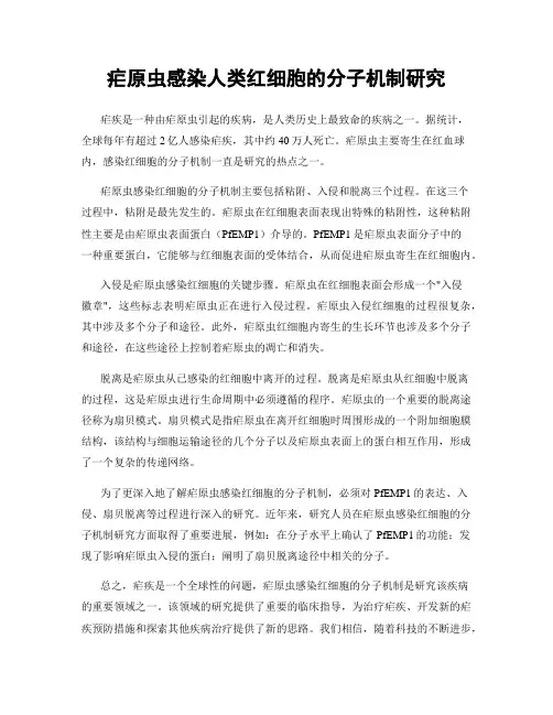 疟原虫感染人类红细胞的分子机制研究