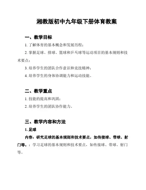 湘教版初中九年级下册体育教案