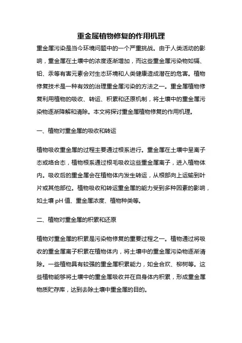重金属植物修复的作用机理