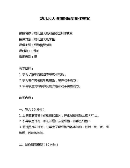 幼儿园大班细胞模型制作教案