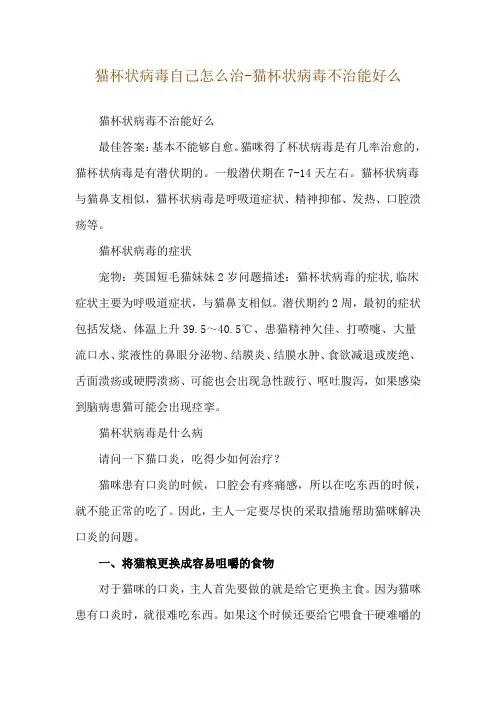 猫杯状病毒自己怎么治-猫杯状病毒不治能好么