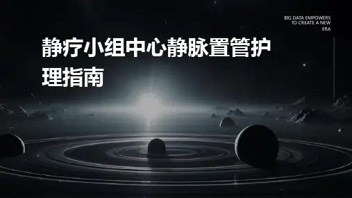 静疗小组中心静脉置管护理指南