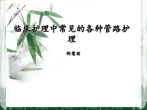 临床护理中常见各种管路护理培训