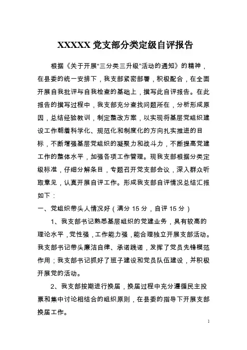 支部分类定级自评报告