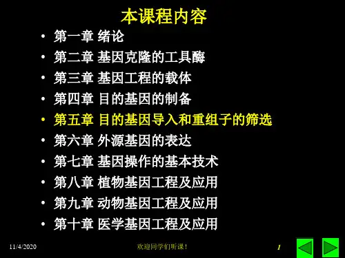 Tan第五章目的基因的导入和重组子的筛选