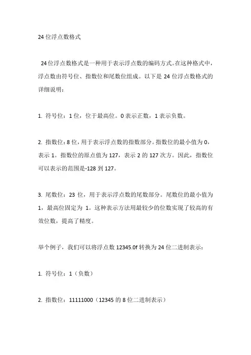 24位浮点数格式