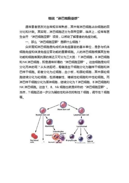 细说“淋巴细胞亚群”