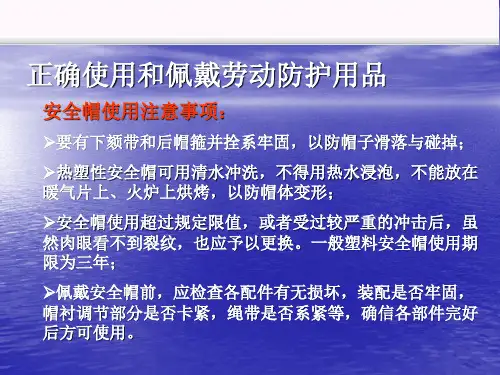 个人劳动防护用品的正确使用PPT课件