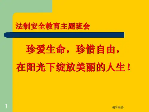 《青少年法制教育》PPT课件