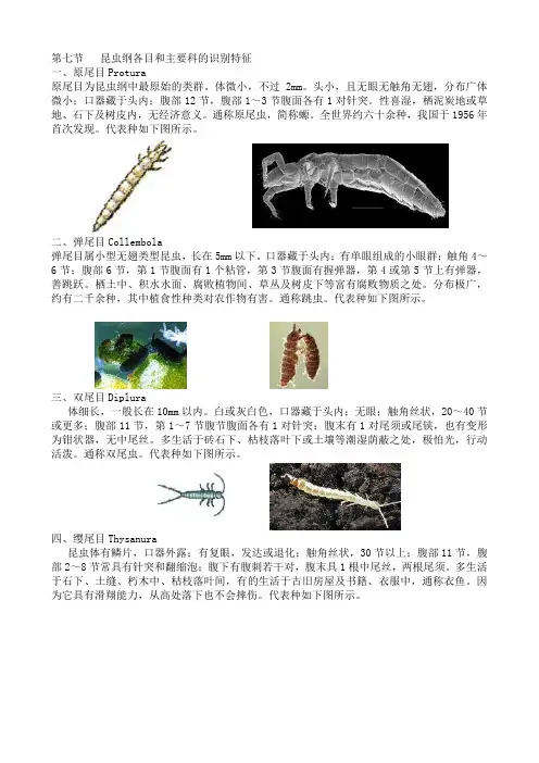 最全面的昆虫纲各目和主要科的识别特征