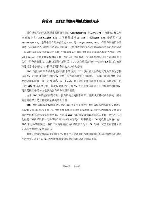 高中生物 蛋白质的聚丙烯酰胺凝胶电泳