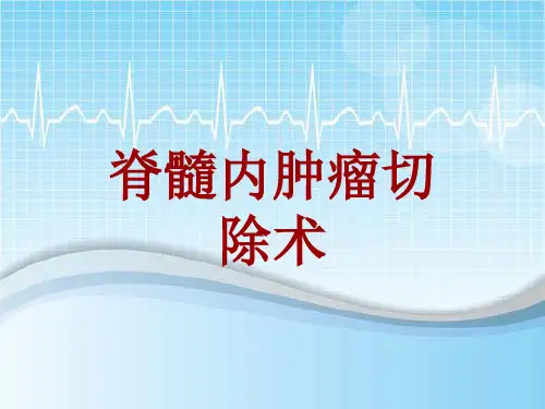 手术讲解模板：脊髓内肿瘤切除术