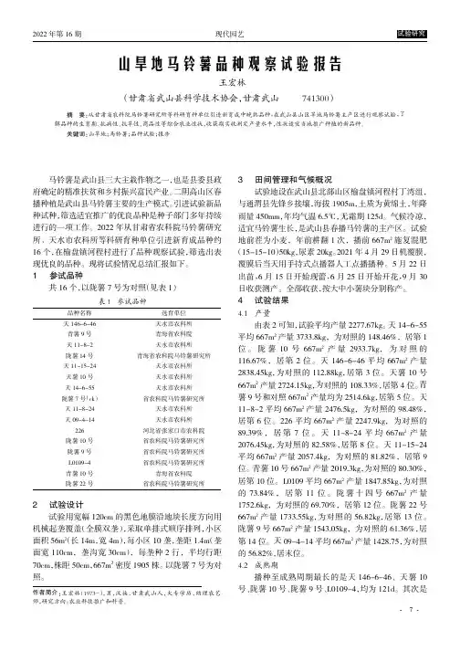 山旱地马铃薯品种观察试验报告