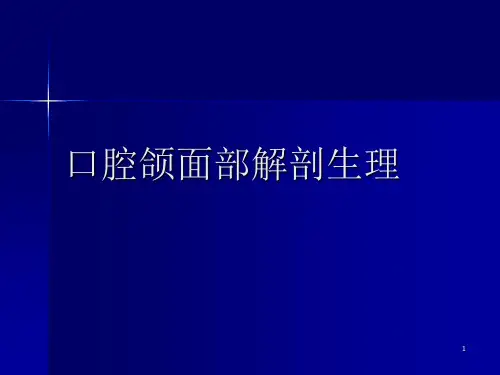 口腔颌面部解剖PPT幻灯片课件