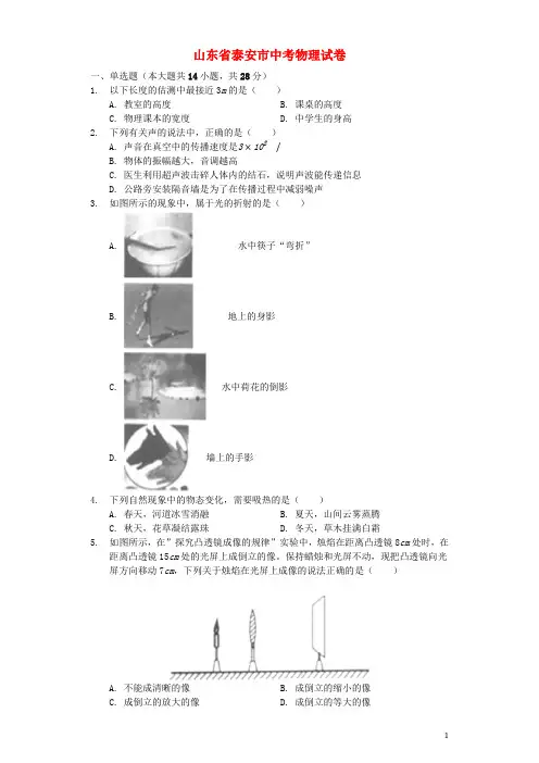 山东省泰安市中考物理真题试题(含解析)