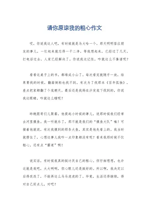 请你原谅我的粗心作文