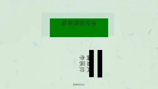 薪酬调查报告ppt课件