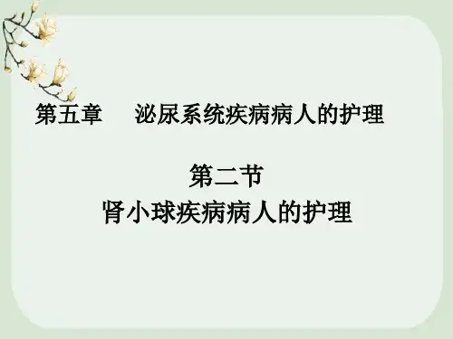 内科肾小球疾病护理ppt演示