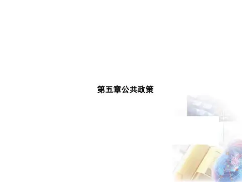 第五章公共政策