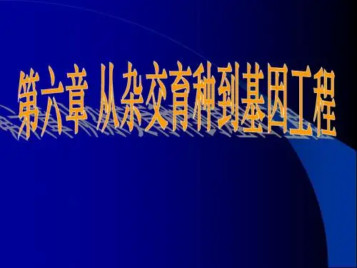 生物高中必修2第六章第一节课件3