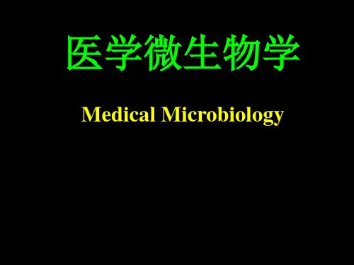 厌氧性杆菌-精品医学课件
