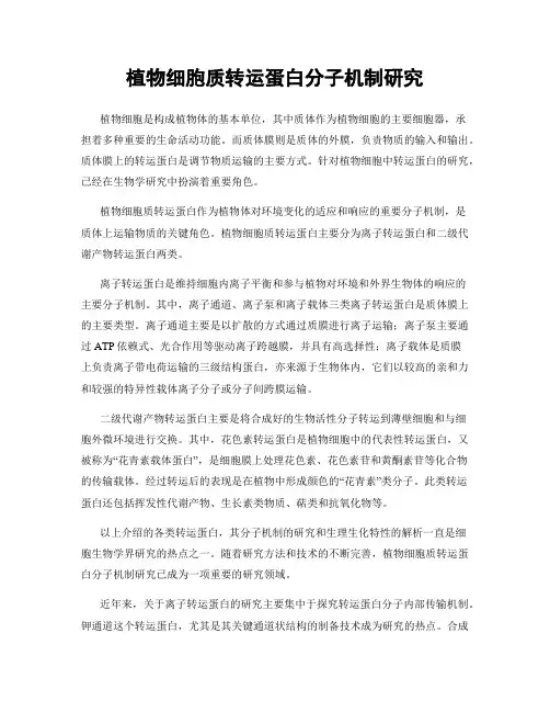 植物细胞质转运蛋白分子机制研究