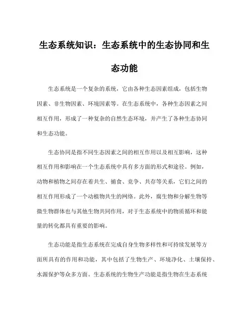 生态系统知识：生态系统中的生态协同和生态功能