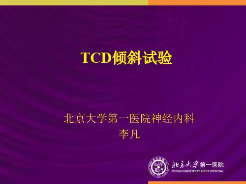 直立倾斜试验