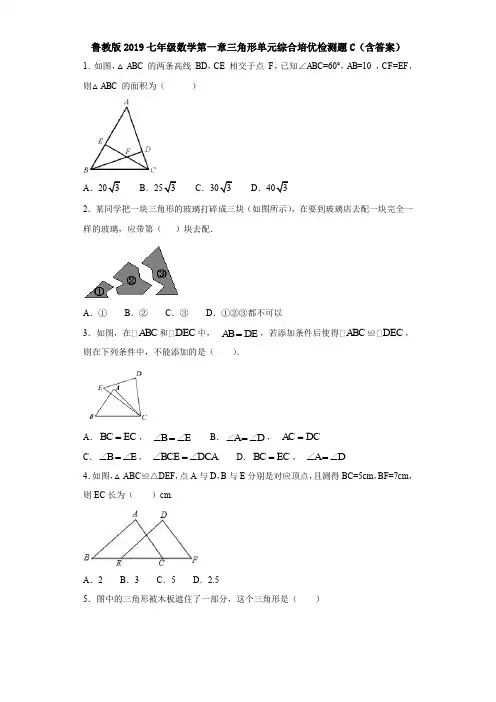 鲁教版2019七年级数学第一章三角形单元综合培优检测题C(含答案)