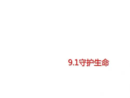 9.1 守护生命   课件(27张PPT)