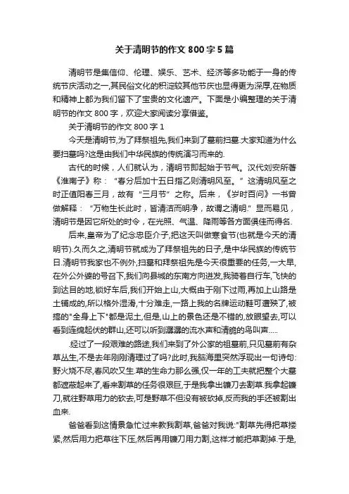 关于清明节的作文800字5篇