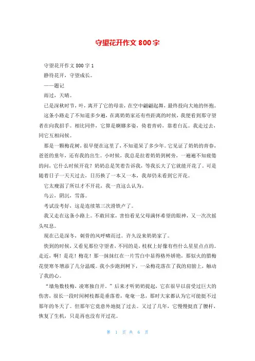 守望花开作文800字