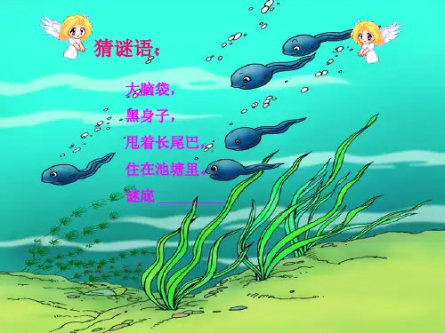 人教版小学语文一年级下册《小蝌蚪找妈妈》精品PPT课件