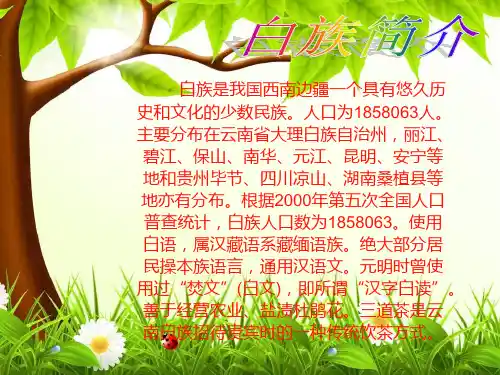 白族简介