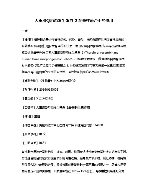 人重组骨形态发生蛋白-2在脊柱融合中的作用