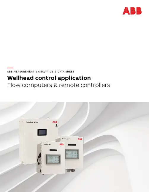 abb totalflow 流量计算机和远程控制器 - 井口控制应用说明书