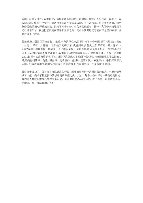 一缕缕温暖阳光作文650字初中