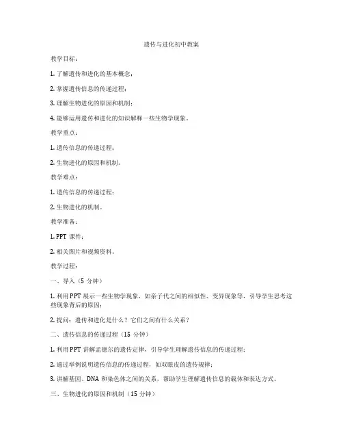 遗传与进化初中教案