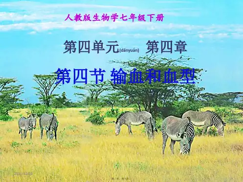 七年级生物下册 第四单元 第四章《人体内物质的运输》第四节《输血和血型》课件 