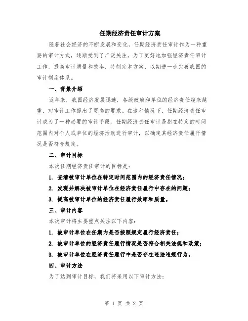 任期经济责任审计方案