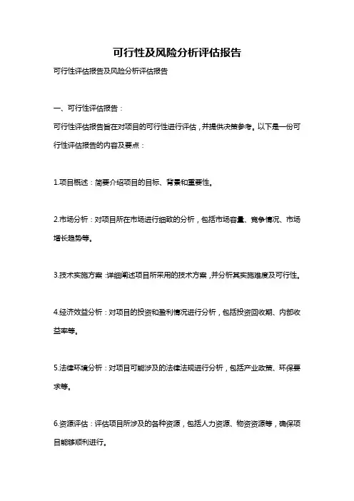 可行性及风险分析评估报告