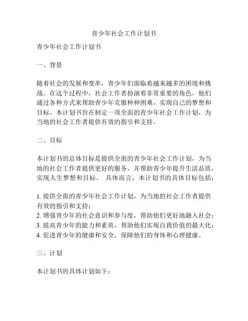 青少年社会工作计划书