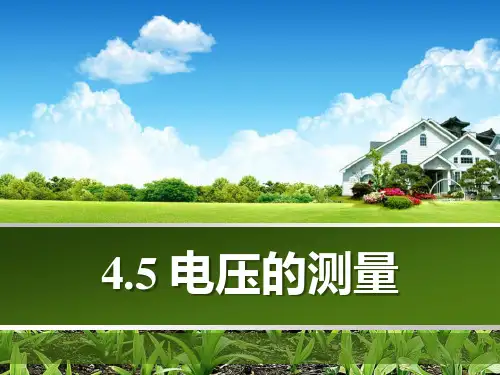 《电压的测量》-优质精选PPT